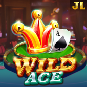Wild Ace tableplus 2 slot